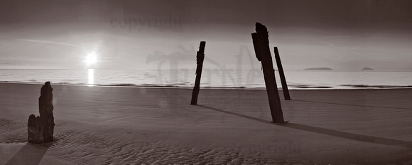 old posts from jetty remains , Abersoch, POPAN bw