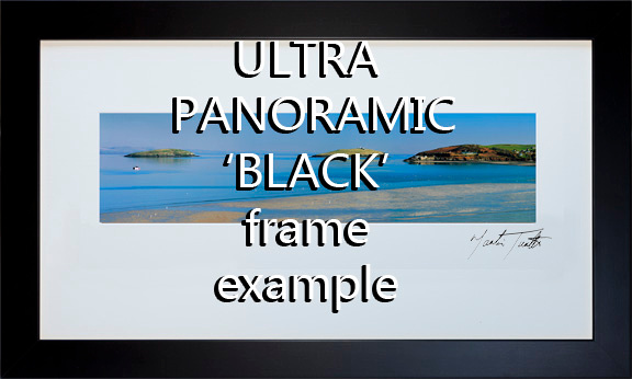 ULTRA Panoramic black ex