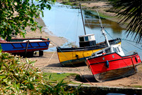 Rosebud and old boats at Abersoch inner harbour BD60