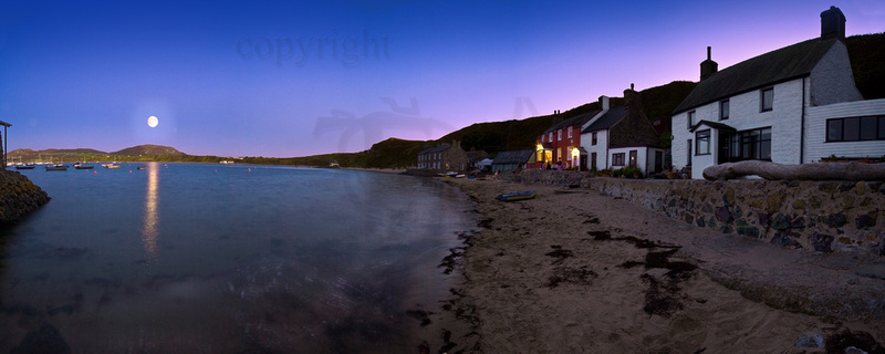 turtle photography abersoch photos and canvases nefyn